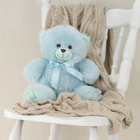 Teddy Bear Baby Blue